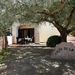 Mirtagru Ena *
